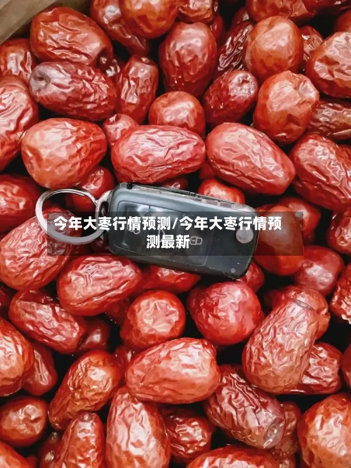 今年大枣行情预测/今年大枣行情预测最新