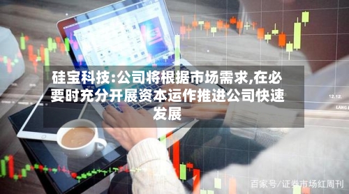 硅宝科技:公司将根据市场需求,在必要时充分开展资本运作推进公司快速发展