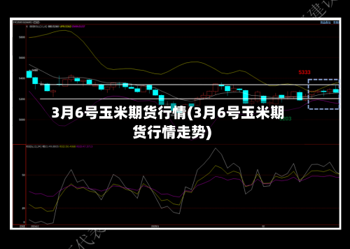 3月6号玉米期货行情(3月6号玉米期货行情走势)