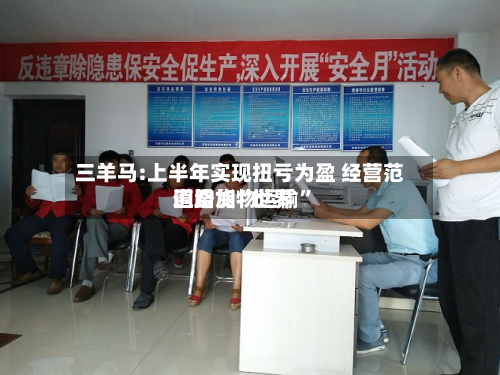 三羊马:上半年实现扭亏为盈 经营范围增加“世界道路货物运输”-第2张图片