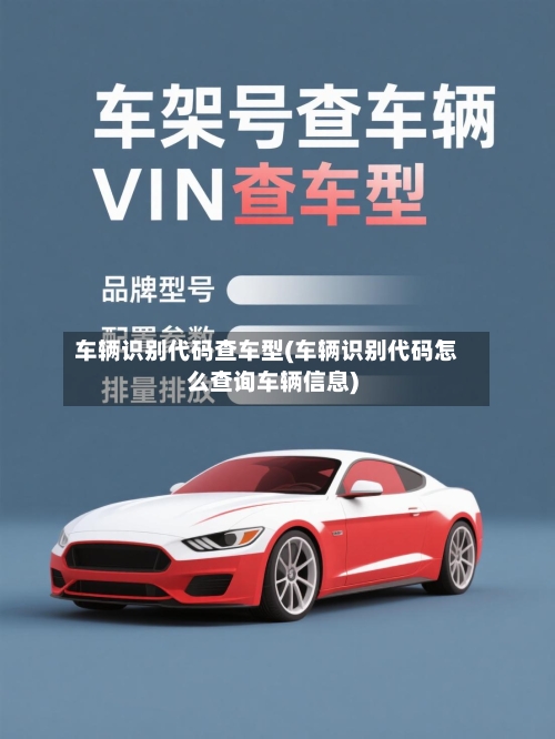 车辆识别代码查车型(车辆识别代码怎么查询车辆信息)