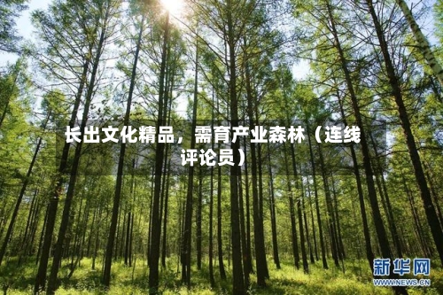 长出文化精品，需育产业森林（连线评论员）