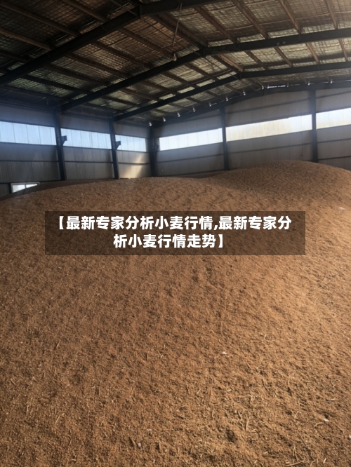 【最新专家分析小麦行情,最新专家分析小麦行情走势】