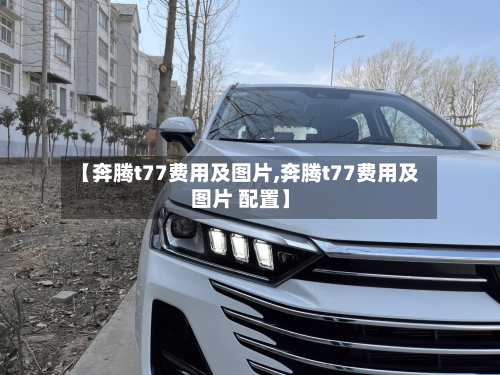 【奔腾t77费用及图片,奔腾t77费用及图片 配置】-第3张图片