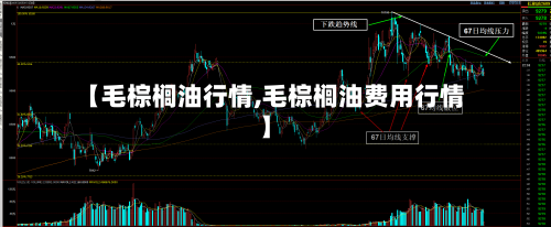 【毛棕榈油行情,毛棕榈油费用行情】
