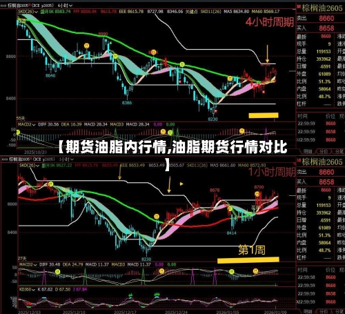 【期货油脂内行情,油脂期货行情对比】-第2张图片
